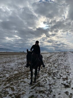 Jazdenie na koni - 4