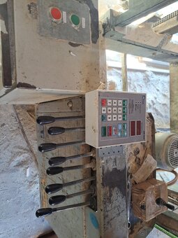 Kmenová pasová pila - 4