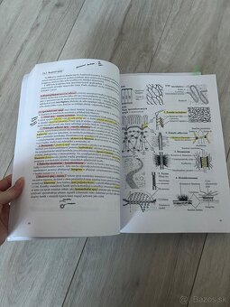 Skriptá -prehľad histológie - 4