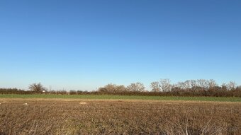 Senec Lužianky 1070m2 šírka 22m dĺžka 49m - 4