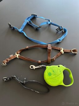 Postroje, obojok, voditko, topanky, oblecenie - 4