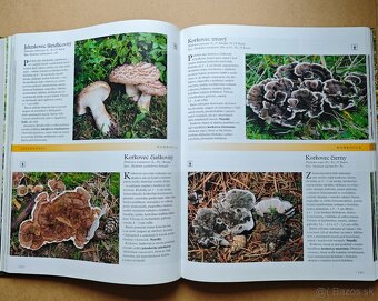 HUBY - VEĽKÁ ENCYKLOPÉDIA - 4