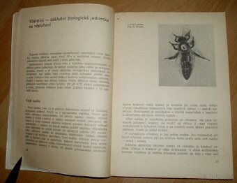 Včelarství - 4