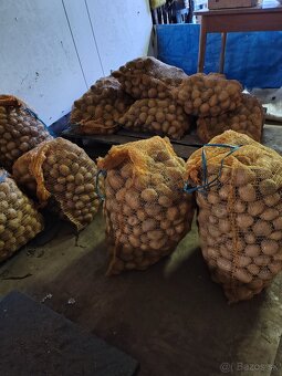 Predám konzumne zemiaky - 4