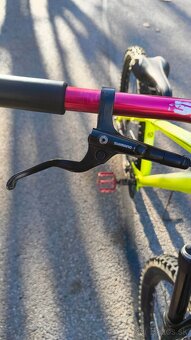 Kellys whip 10 2018 - 4