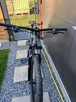 Martin Bolinas Ridge1 M 29” - 4