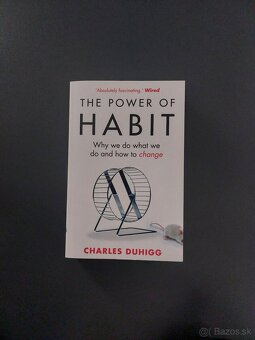 Anglická beletria - 4