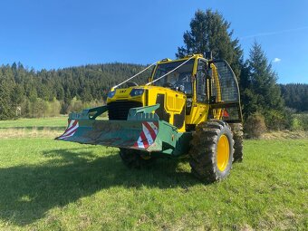 Tazba dreva, pestebná činnosť - 4