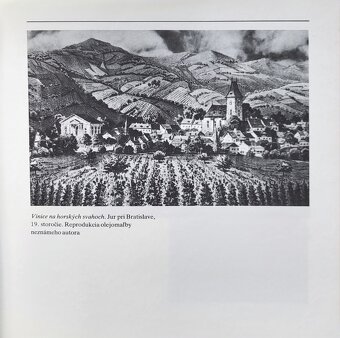 Ema Drábiková - Človek vo vinici - 4