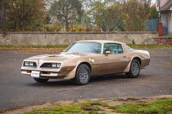 Pontiac Firebird  1977 - 4