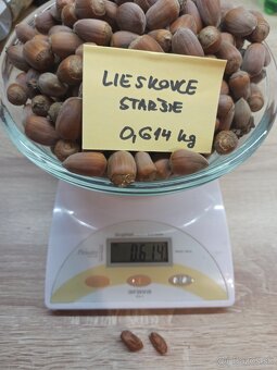 Lieskove orechy - 4