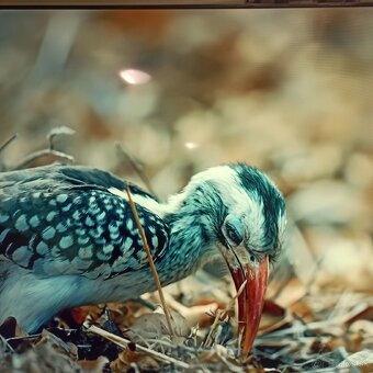 Samsung led tv (165cm)UE65CU7172U - 4