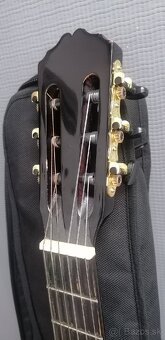 Gitara s puzdrom - 4
