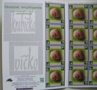 Pexeso s ulity exotických, suchozemských plžů, NOVÉ - 4