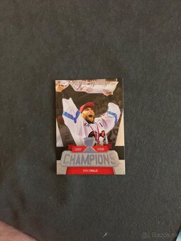 Hokejové kartičky - 4