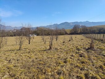 Pozemok s rekreačnou chatkou, Strečno - 4