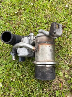 Dpf - 4