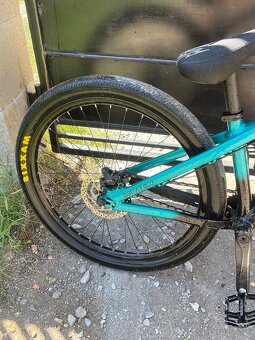 CTM dirtking expert 2021 - 4