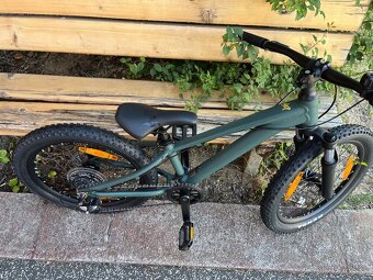 Giant stp 20 fs detsky - 4