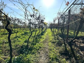 Na predaj dom s veľkým pozemkom 1216m2 Ivanka pri Dunaji - 4