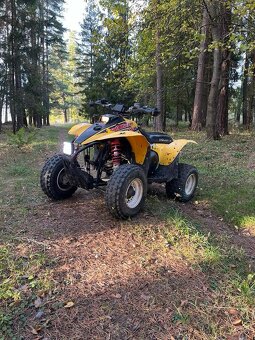 Polaris Trail Blazer 250 - 4