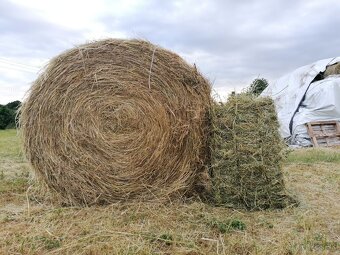 Predám balíkované seno - 4