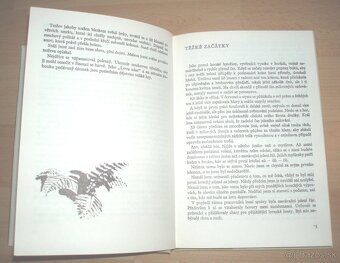 až zazní voláni - 4