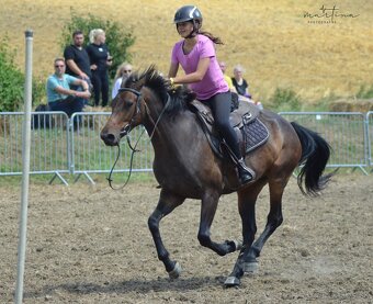 Juniorská kobyla - 4