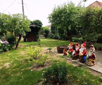 PANICKÉ DRAVCE - RD na pozemku 5400 m2 - 4