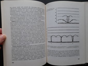 Rez a vedenie viniča - 4