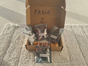 LED osvetlenie interieru pre VOLKSWAGEN - 4