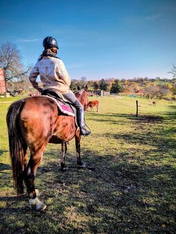 Športový pony s PP - 4