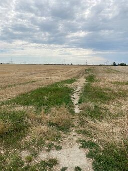 ASSENZIO – investícia do budúcna – orná pôda 2,54 ha, Most p - 4