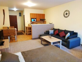 Apartmán 1 izbový byt Hrabovo - 4