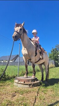 Jazdenie na koni - 4