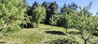 na samote u lesa - 4