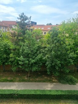 2-izbový byt, 56 m² – Národná trieda, Košice – Sever - 4