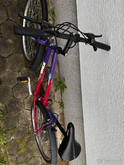 Dámsky bicykel - 4