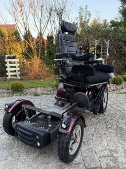 Terenny elekrticky vozik - 4