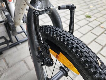 Author record 16" - 4