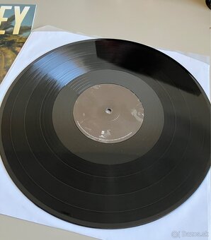 LP Lana Del Rey - Paradise - 4