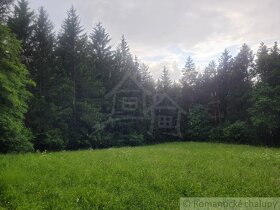 Rekreačný pozemok uprostred lesa pri Považskej Bystrici - 4