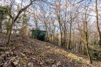 Predaj pozemku s chatkou v tichom prostredí lesa – Lamač - 4