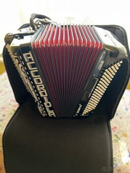 Accordiola - 4