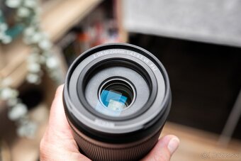 Nikkor Z DX 50–250mm f/4.5–6.3 VR - 4