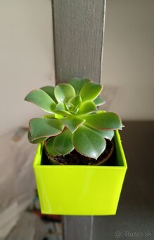 Magnetický obal na kvetináč - 4