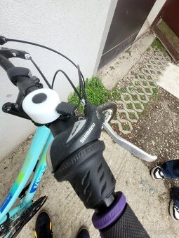 Kenzel 24' bicykel - 4