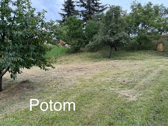 Kosenie veľkých plôch krovinorezom,traktorom,mulčovanie. - 4