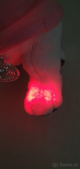 Šteniatko BABY BORN - 4