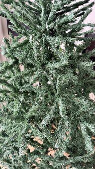 Vianočný stromček - 4